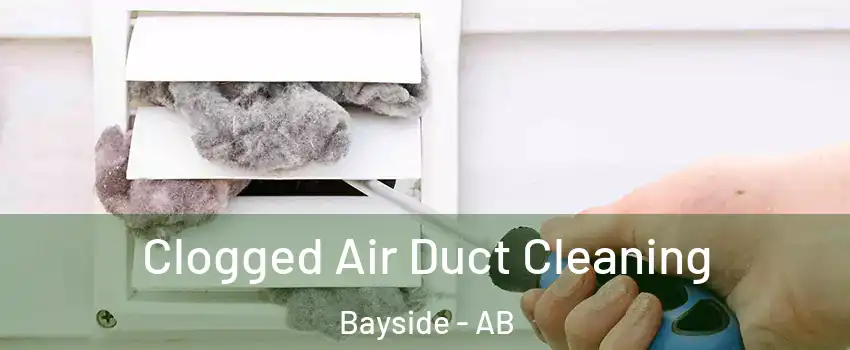  Clogged Air Duct Cleaning Bayside - AB