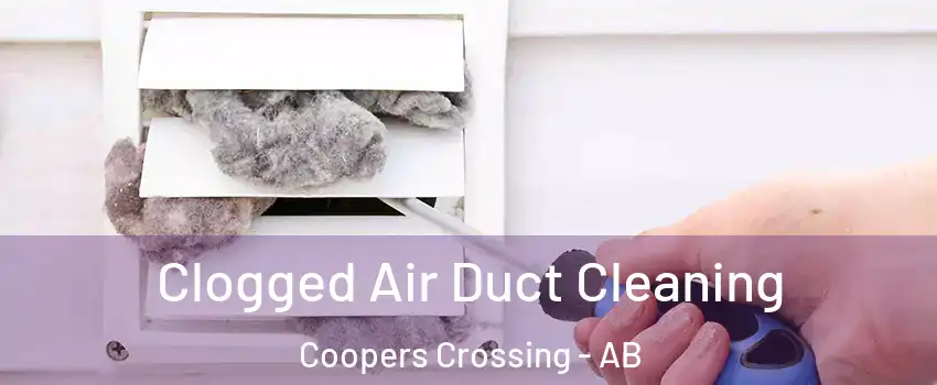  Clogged Air Duct Cleaning Coopers Crossing - AB