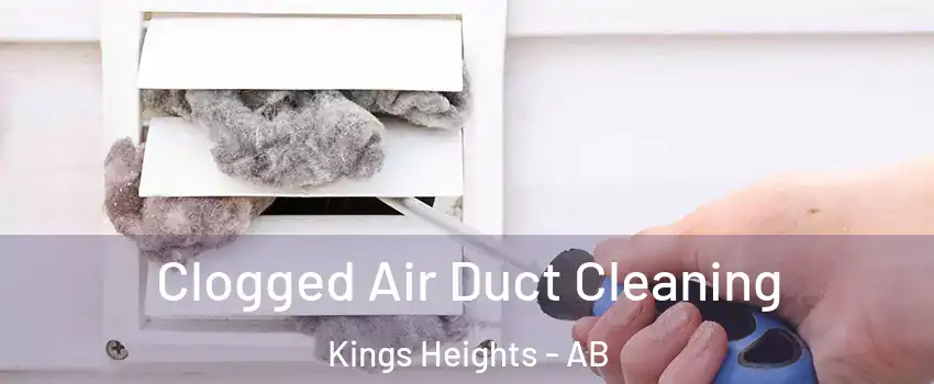  Clogged Air Duct Cleaning Kings Heights - AB