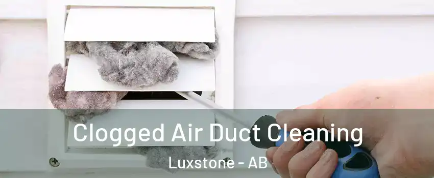  Clogged Air Duct Cleaning Luxstone - AB