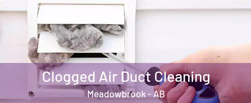  Clogged Air Duct Cleaning Meadowbrook - AB