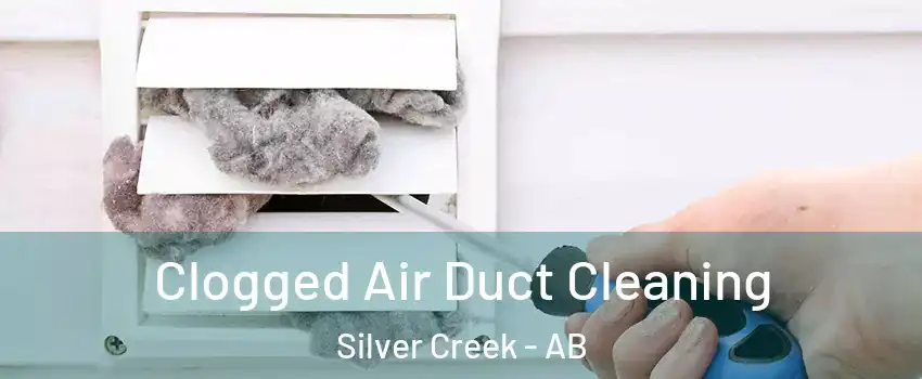  Clogged Air Duct Cleaning Silver Creek - AB