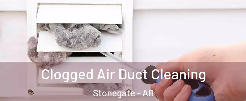  Clogged Air Duct Cleaning Stonegate - AB