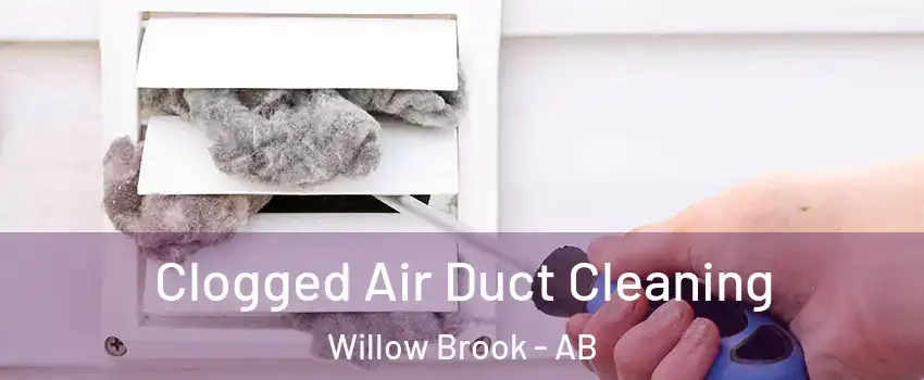  Clogged Air Duct Cleaning Willow Brook - AB