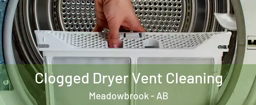  Clogged Dryer Vent Cleaning Meadowbrook - AB