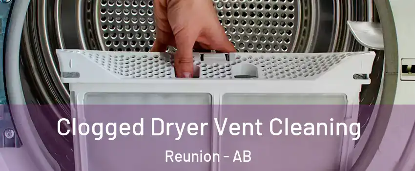  Clogged Dryer Vent Cleaning Reunion - AB