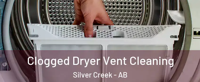  Clogged Dryer Vent Cleaning Silver Creek - AB