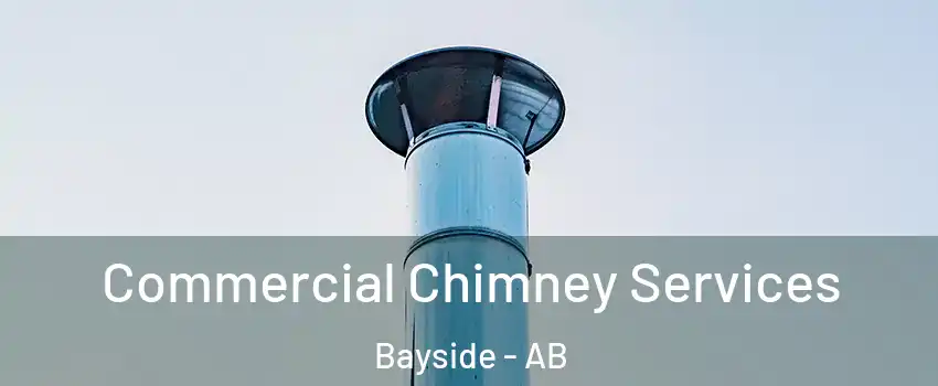 Commercial Chimney Services Bayside - AB