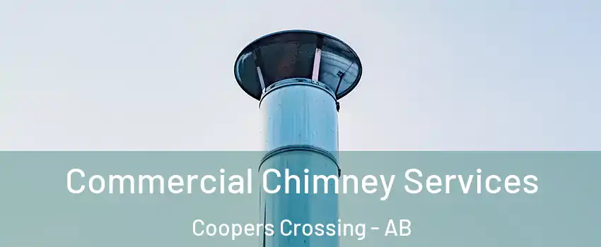  Commercial Chimney Services Coopers Crossing - AB