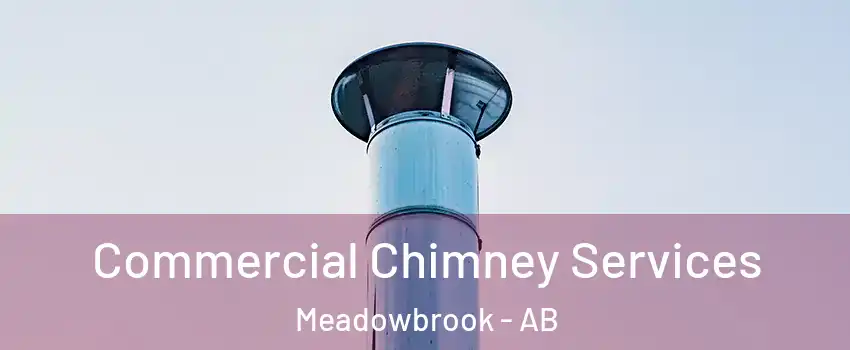  Commercial Chimney Services Meadowbrook - AB