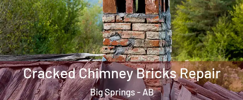  Cracked Chimney Bricks Repair Big Springs - AB