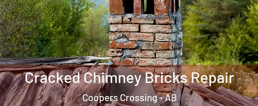  Cracked Chimney Bricks Repair Coopers Crossing - AB