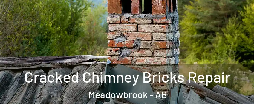  Cracked Chimney Bricks Repair Meadowbrook - AB