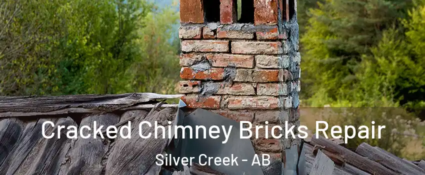  Cracked Chimney Bricks Repair Silver Creek - AB