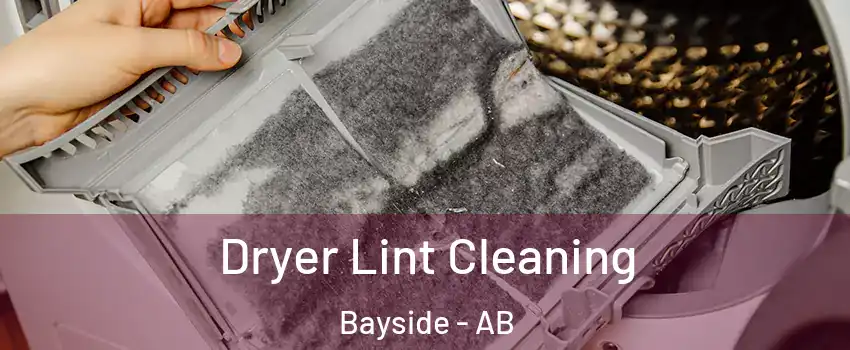  Dryer Lint Cleaning Bayside - AB