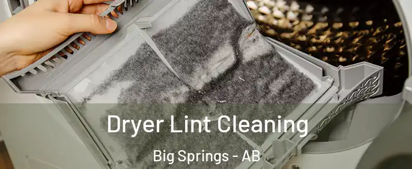  Dryer Lint Cleaning Big Springs - AB