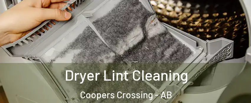  Dryer Lint Cleaning Coopers Crossing - AB