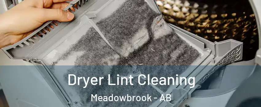  Dryer Lint Cleaning Meadowbrook - AB