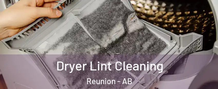  Dryer Lint Cleaning Reunion - AB