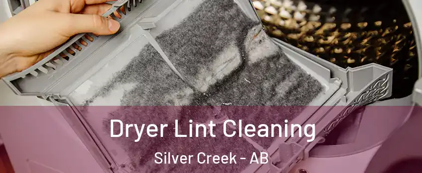  Dryer Lint Cleaning Silver Creek - AB