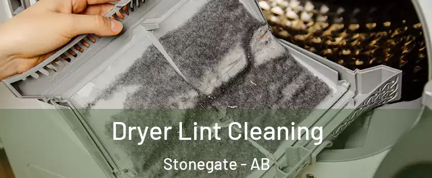  Dryer Lint Cleaning Stonegate - AB