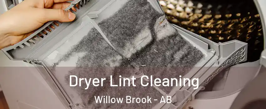  Dryer Lint Cleaning Willow Brook - AB