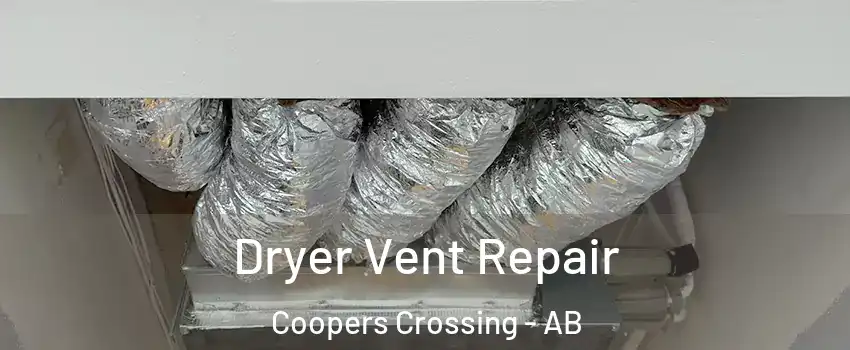  Dryer Vent Repair Coopers Crossing - AB
