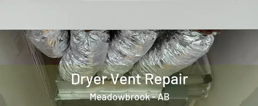  Dryer Vent Repair Meadowbrook - AB