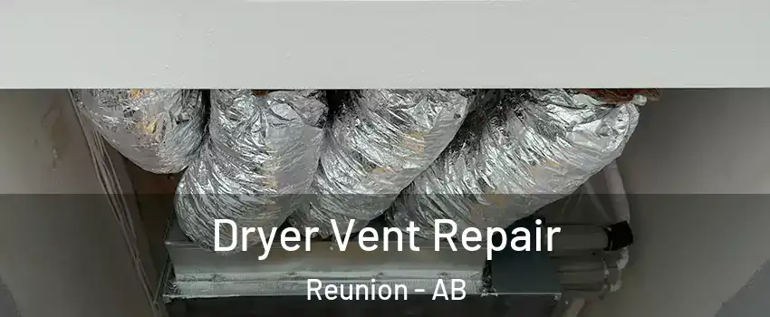  Dryer Vent Repair Reunion - AB