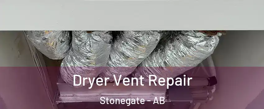  Dryer Vent Repair Stonegate - AB