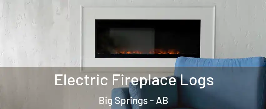  Electric Fireplace Logs Big Springs - AB