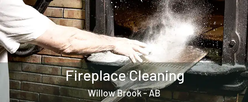  Fireplace Cleaning Willow Brook - AB