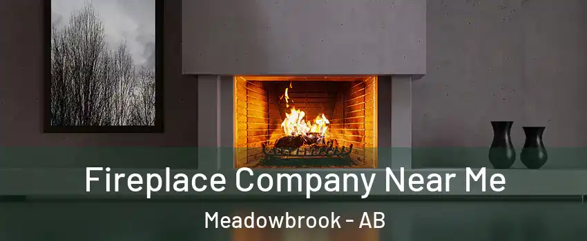  Fireplace Company Near Me Meadowbrook - AB