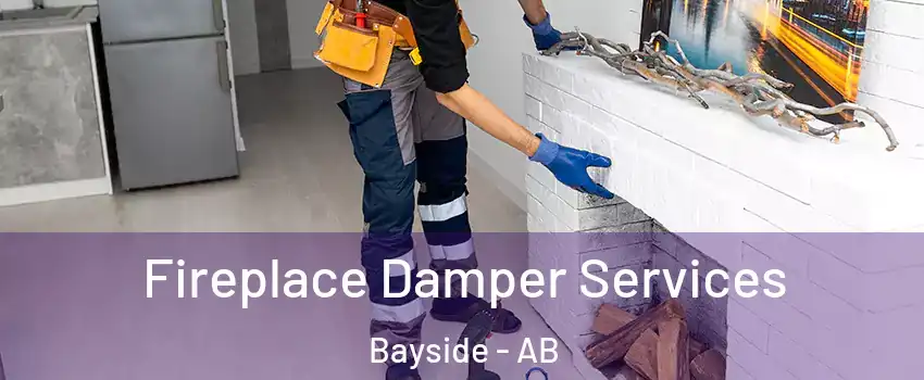  Fireplace Damper Services Bayside - AB