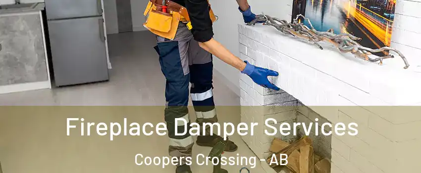  Fireplace Damper Services Coopers Crossing - AB