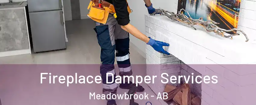  Fireplace Damper Services Meadowbrook - AB