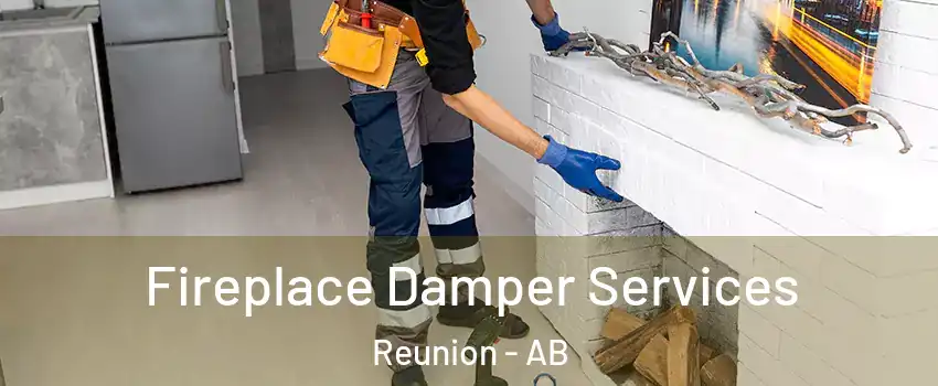  Fireplace Damper Services Reunion - AB