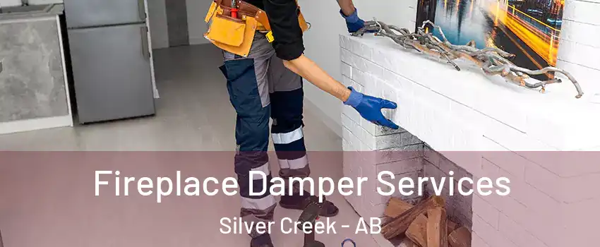  Fireplace Damper Services Silver Creek - AB
