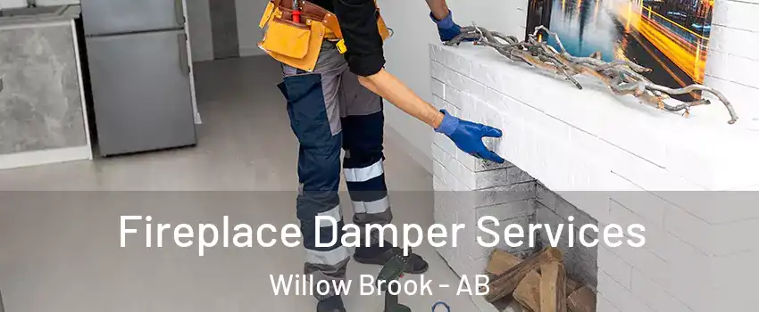  Fireplace Damper Services Willow Brook - AB