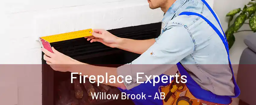  Fireplace Experts Willow Brook - AB