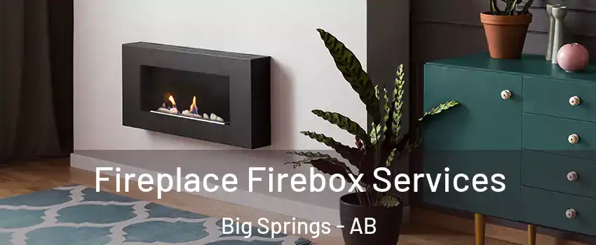  Fireplace Firebox Services Big Springs - AB