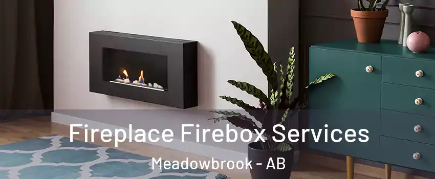  Fireplace Firebox Services Meadowbrook - AB