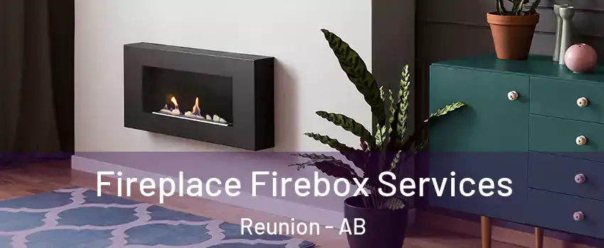 Fireplace Firebox Services Reunion - AB