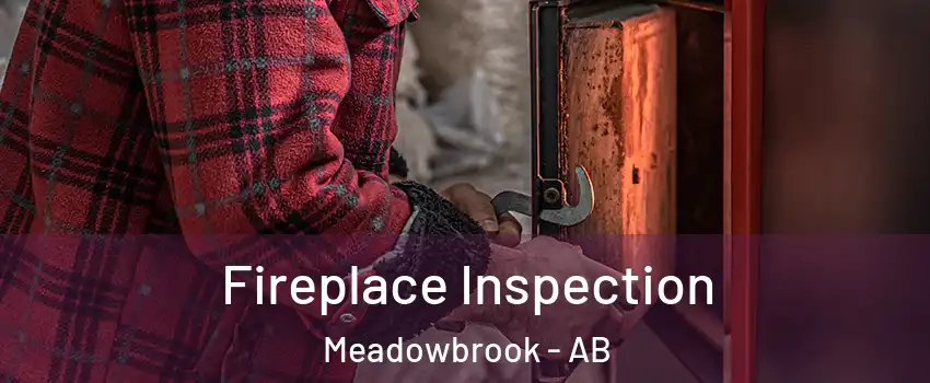  Fireplace Inspection Meadowbrook - AB