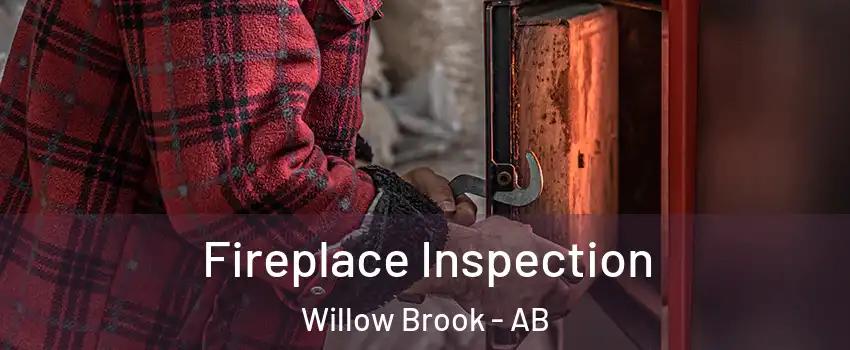  Fireplace Inspection Willow Brook - AB