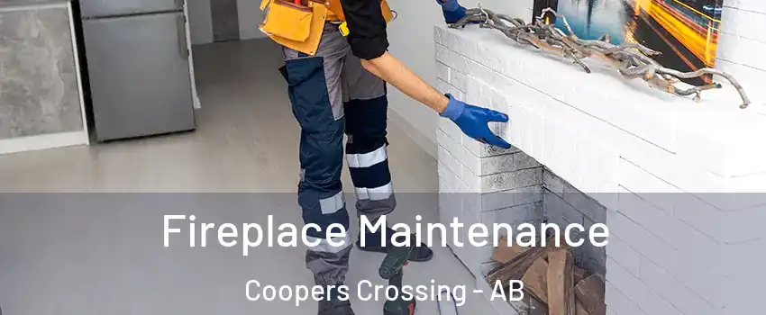  Fireplace Maintenance Coopers Crossing - AB