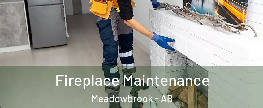  Fireplace Maintenance Meadowbrook - AB