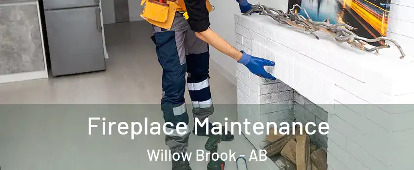  Fireplace Maintenance Willow Brook - AB