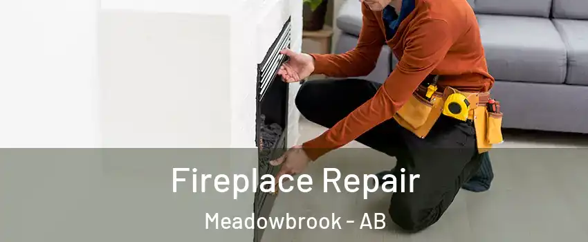  Fireplace Repair Meadowbrook - AB