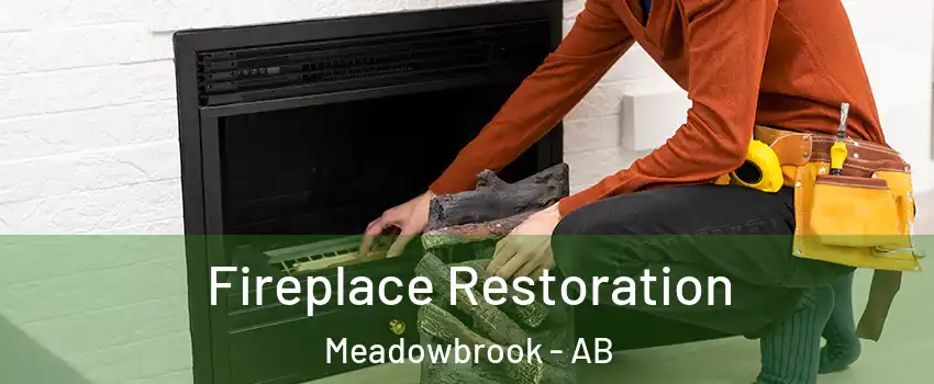  Fireplace Restoration Meadowbrook - AB